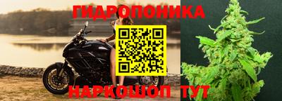 jwh Кулебаки