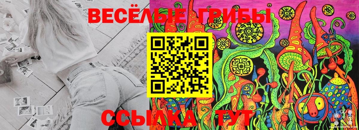 Курск  Псилоцибиновые грибы MAGIC MUSHROOMS  Вход с VPN 