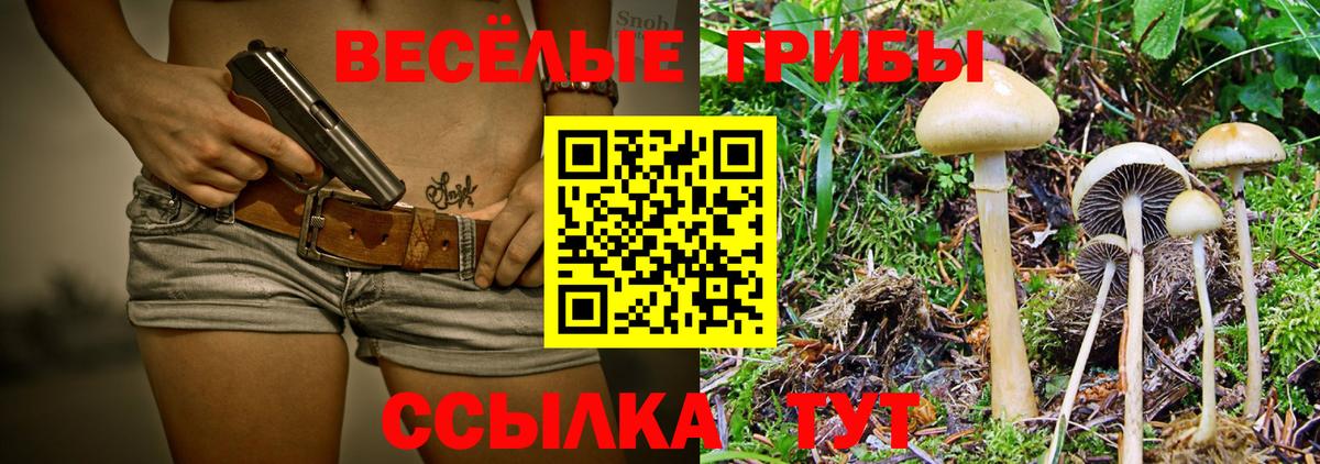 Псилоцибиновые грибы ЛСД Курск